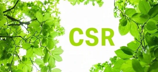 What are the types of CSR